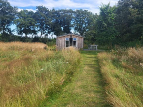 Hoeve Twente - De Buizerd